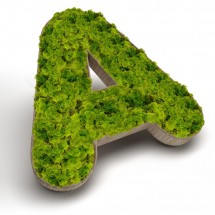 Letras con Cesped