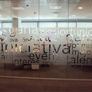 Vinilo Acido con Letras o Dibujos